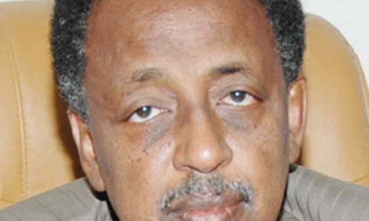 محمد الحسن الأمين