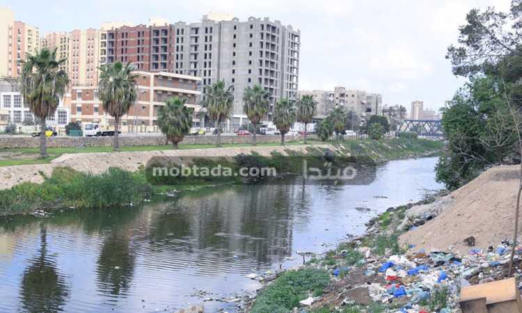 تجميل وتطهير ترعة المحمودية فى الإسكندرية