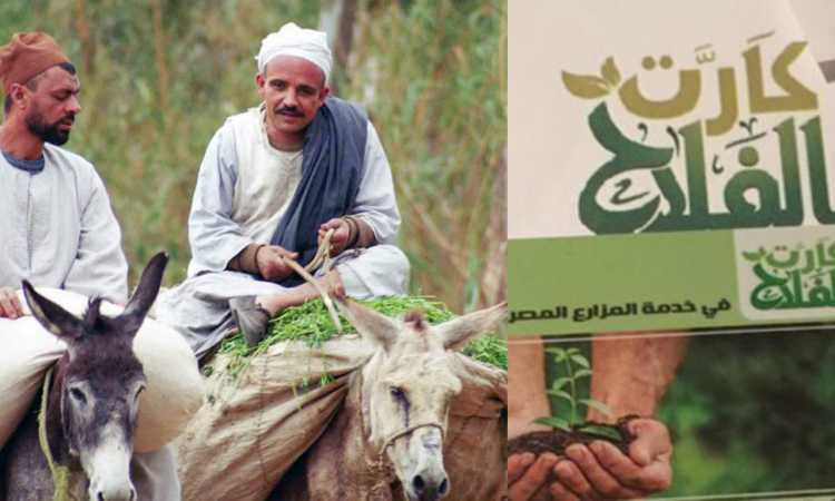 كارت الفلاح