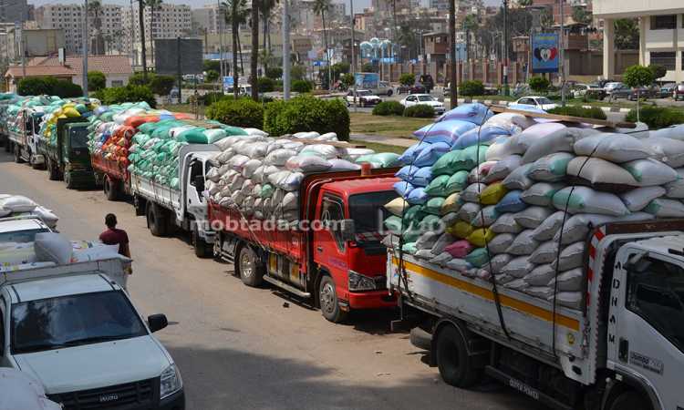  طوابير توريد القمح فى المنصورة