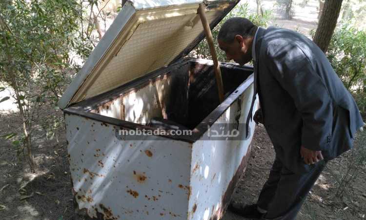 الحديقة الدولية فى أسيوط