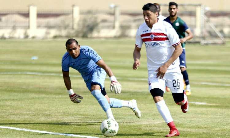 محمد مسعد