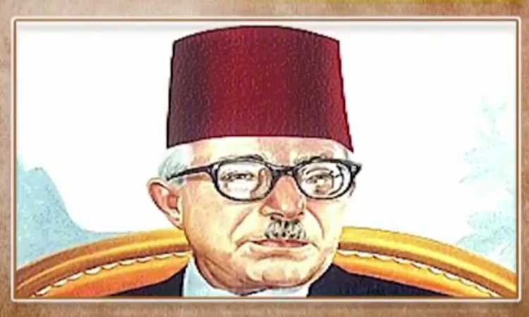 محمد حسين هيكل