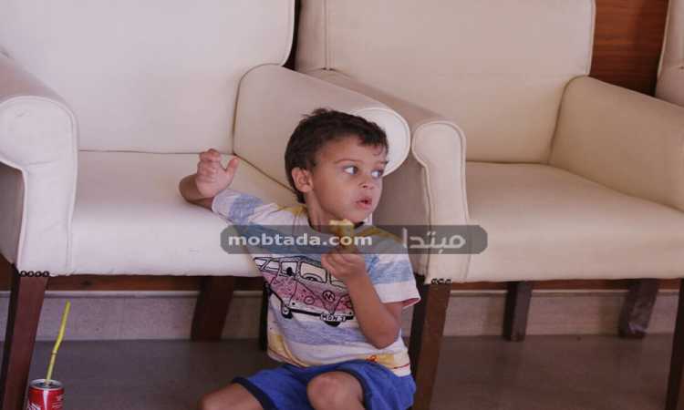 حفيد محمود حميدة