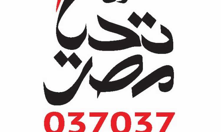 صندوق تحيا مصر 
