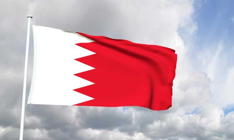 العلم البحرينى