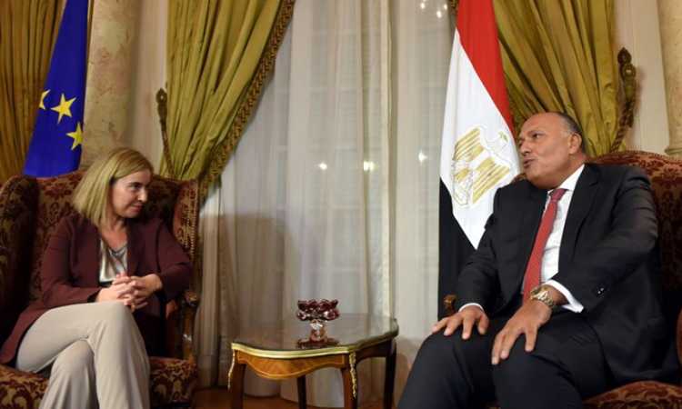 شكرى وموجرينى
