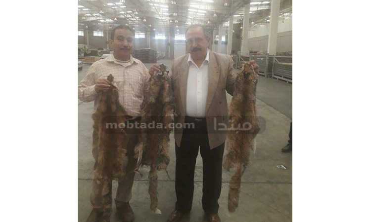 جمارك المطار