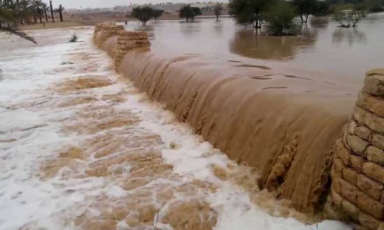 السيول
