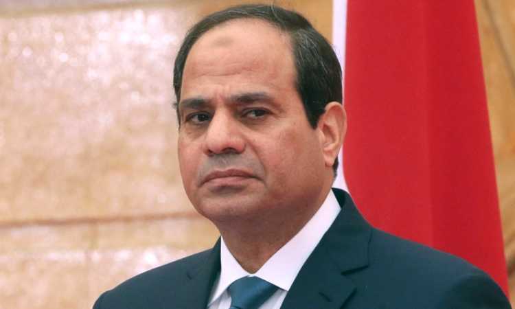 الرئيس عبد الفتاح السيسى 