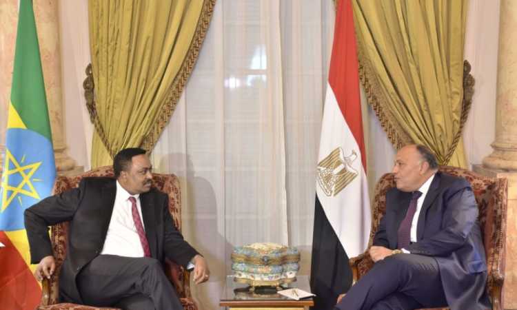 سامح شكرى ونظيره الإثيوبى