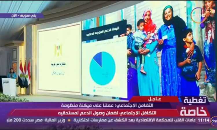 شبكة الحماية الاجتماعية فى الصعيد 