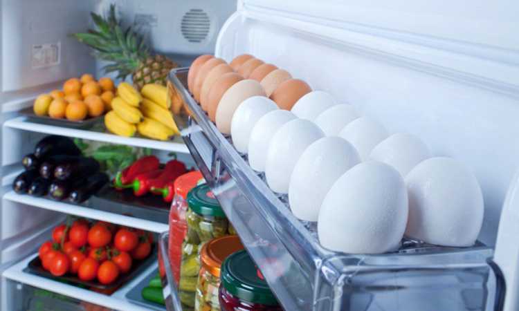 حفظ الطعام بالثلاجة