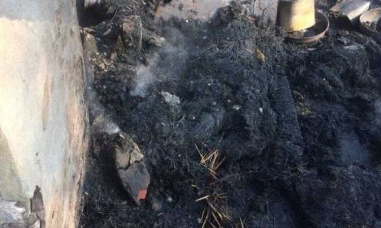 حريق بمزرعة دواجن بالإسكندرية