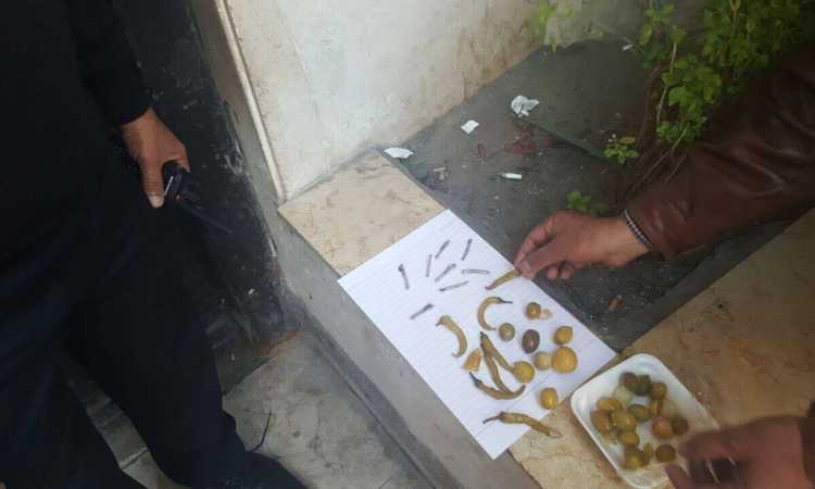 صورة أرشيفية لضبط حشيش قبل إدخاله لأحد السجناء
