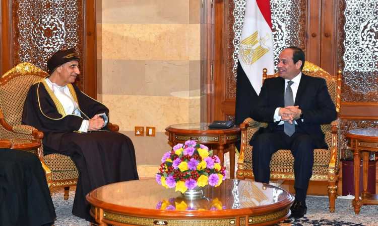 الرئيس عبدالفتاح السيسى