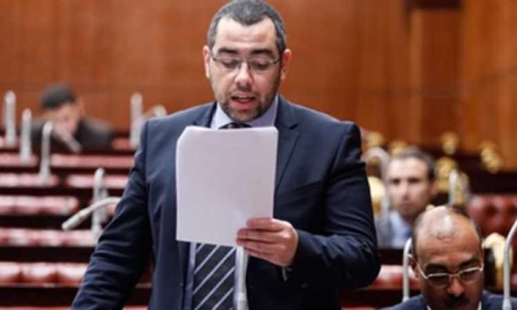 النائب محمد فؤاد 
