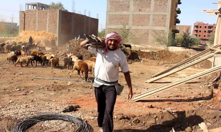 عمال اليومية