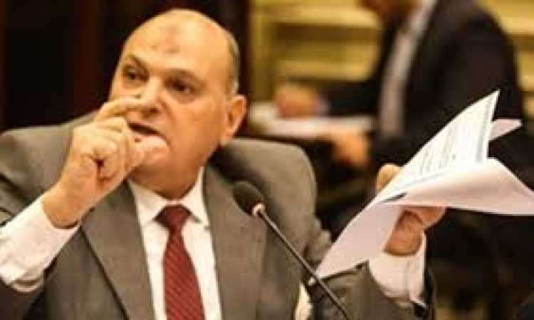 النائب- كمال عامر 