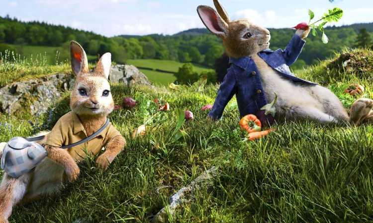 Peter Rabbit