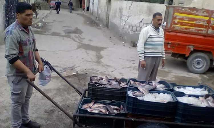 الأسماك