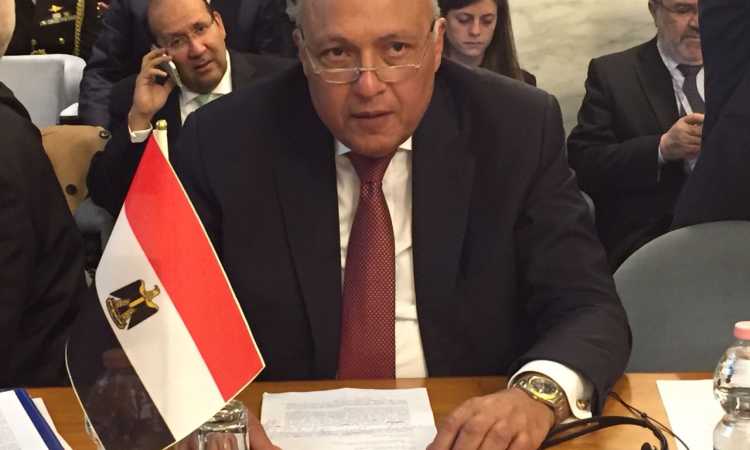 وزير الخارجية- سامح شكرى 
