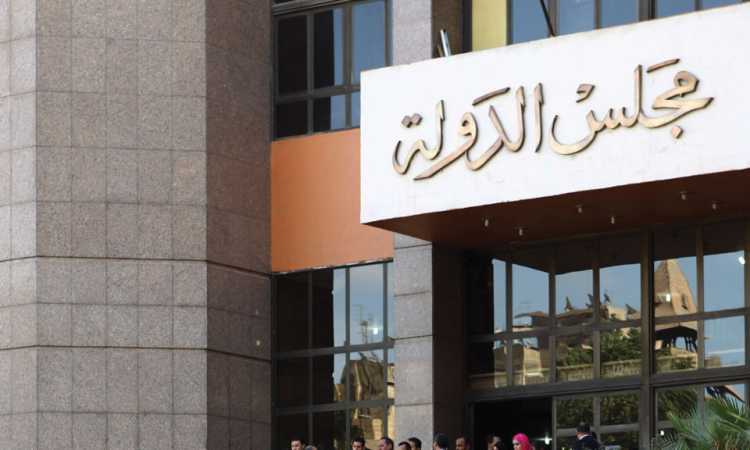 مجلس الدولة