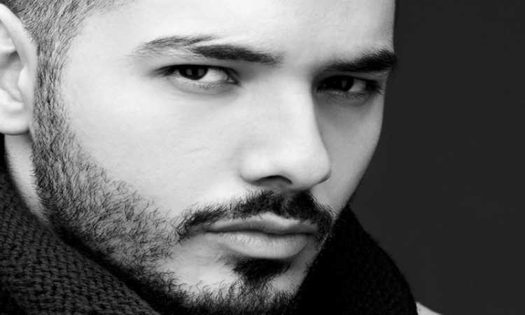 رامى عياش