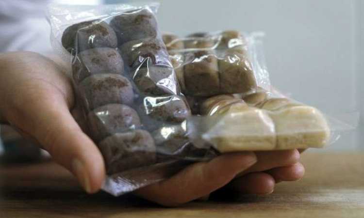 خبز
