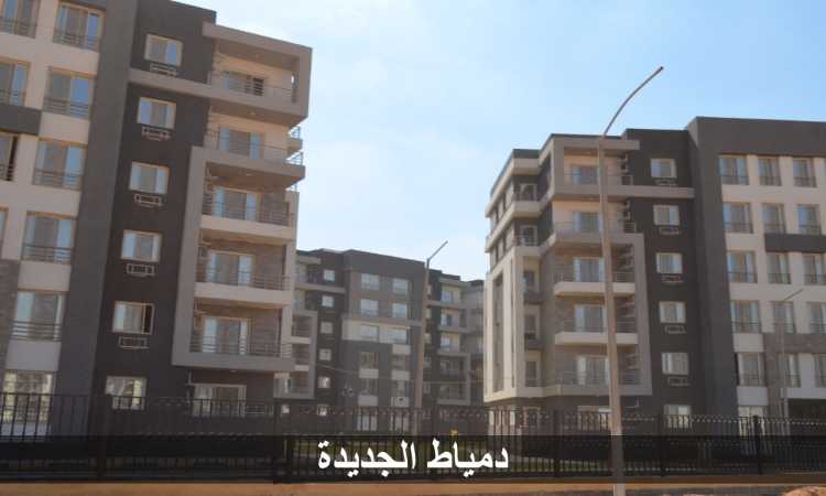 دار مصر