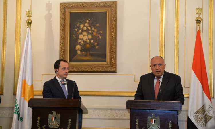شكرى ووزير خارجية قبرص