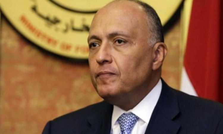 سامح شكرى- وزير الخارجية المصرى 