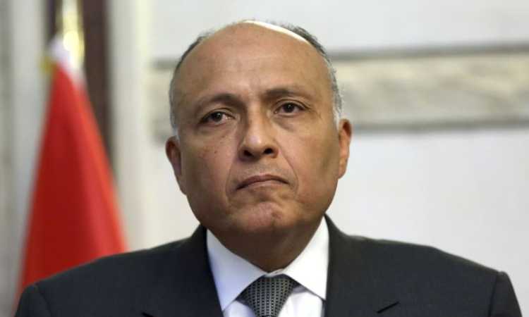 سامح شكرى