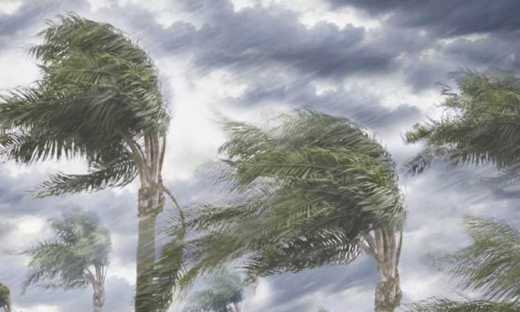 حالة الطقس- أرشيفية 