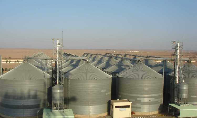 صوامع القمح