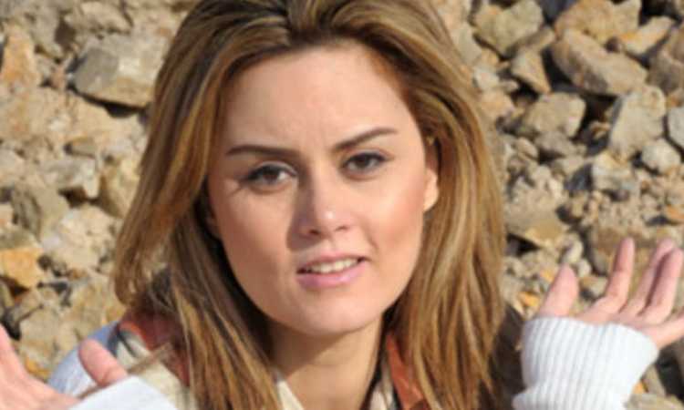 رشا مهدى