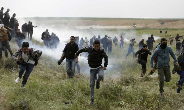 أحداث فلسطين