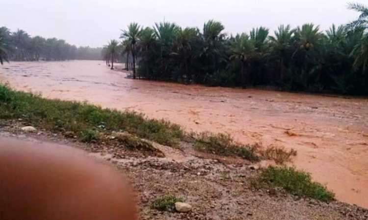 إعصار ماكانو
