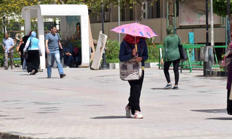 طقس حار