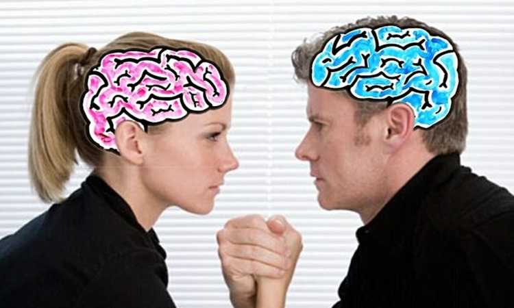 كيف تختلف دماغ المرأة عن الرجل؟
