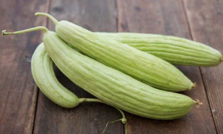 القثاء