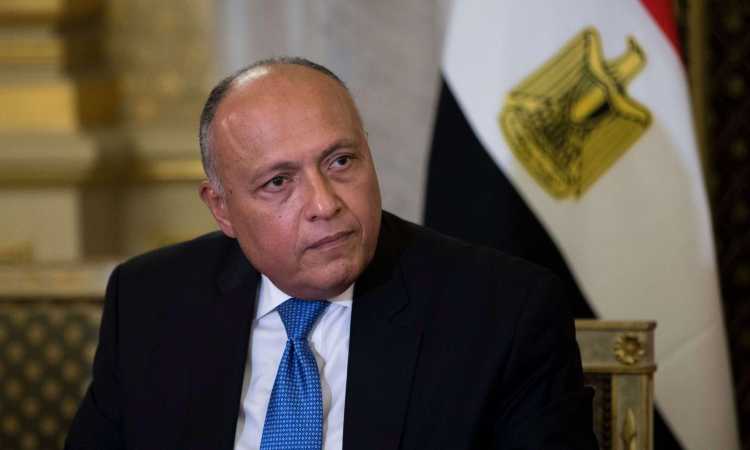 سامح شكرى