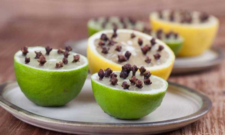 طرق طبيعية للتخلص من الذباب