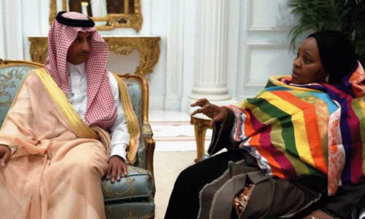 لقاء أحمد بن عقيل ووزيرة دفاع جنوب إفريقيا
