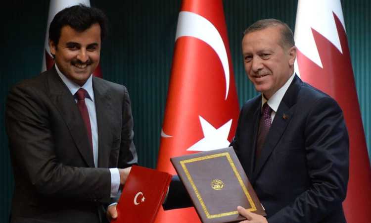 أردوغان وتميم