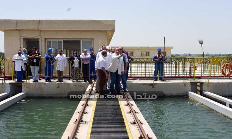محافظ الإسكندرية