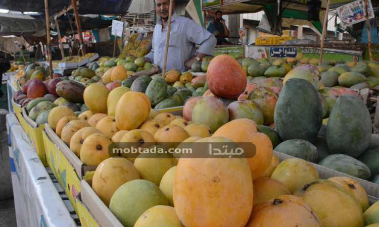 المانجو فى الإسماعيلية