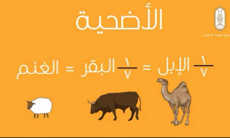 الأضحية 