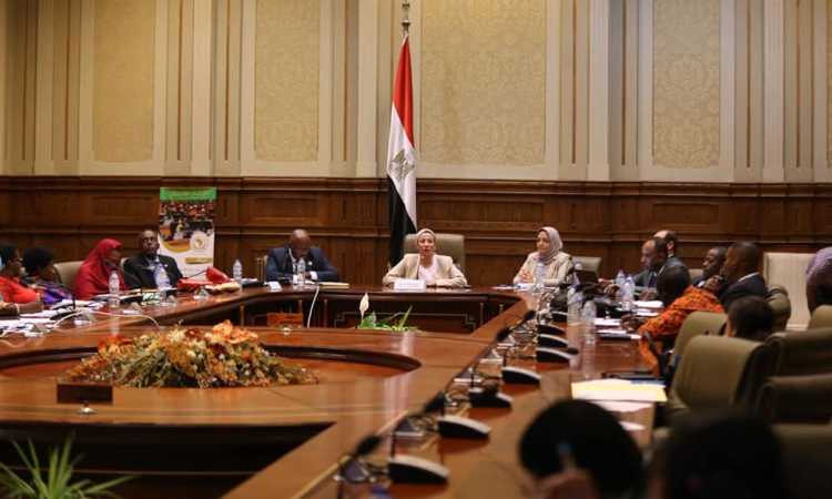 اجتماع لجنة الزراعة بالبرلمان الإفريقى
