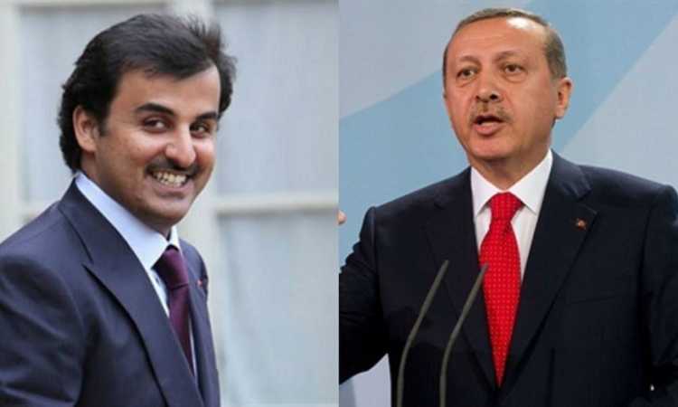 أردوغان وتميم